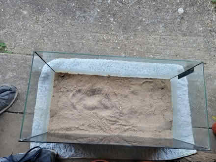 Photo of free Fish tank in good condition (DA3) #3