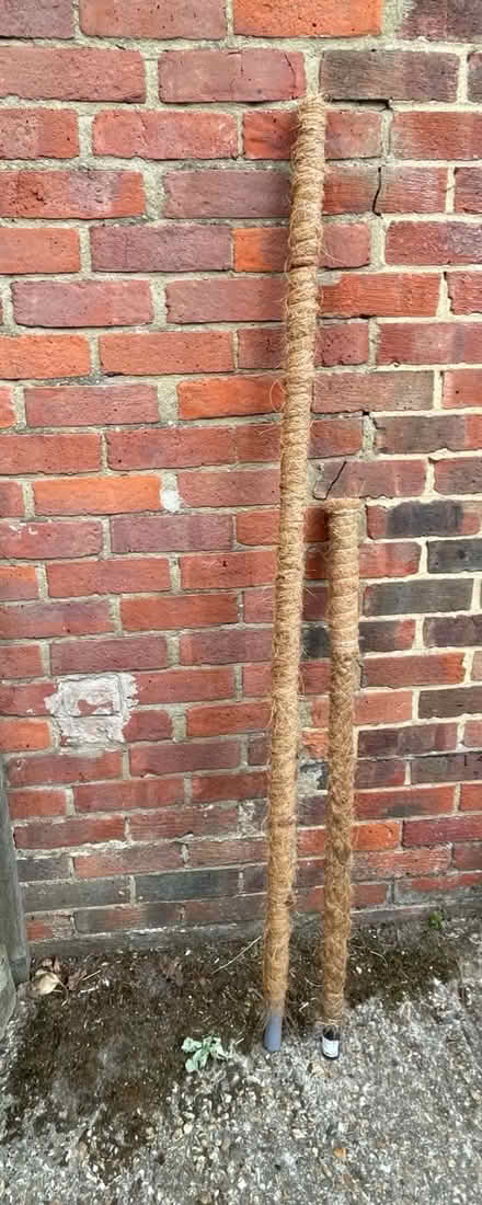 Photo of free Indoor plant support (Liphook GU30) #1