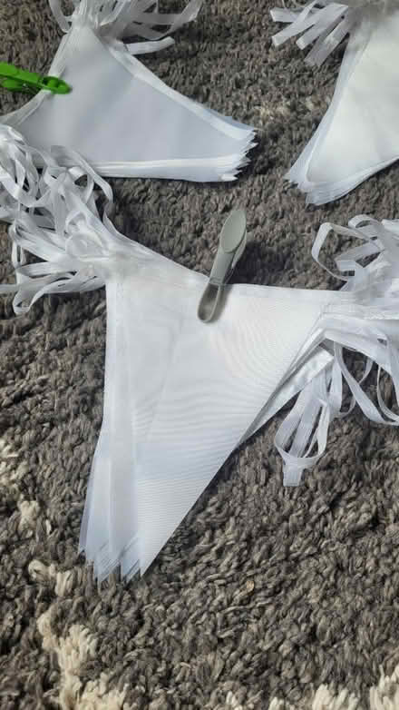 Photo of free White bunting (Barden Park, Tonbridge) #2