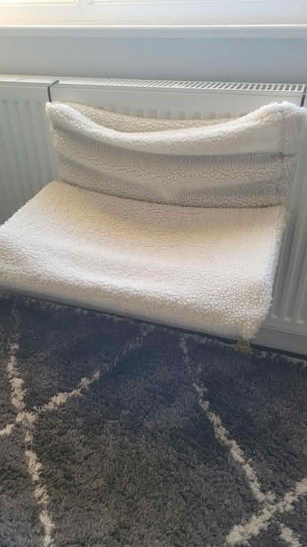 Photo of free Cat radiator bed (Barden Park, Tonbridge) #1