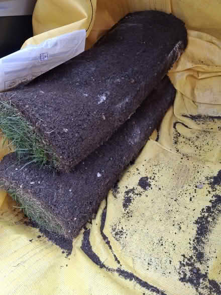 Photo of free 3 rolls of turf 1m long each (Stantonbury, MK14) #1