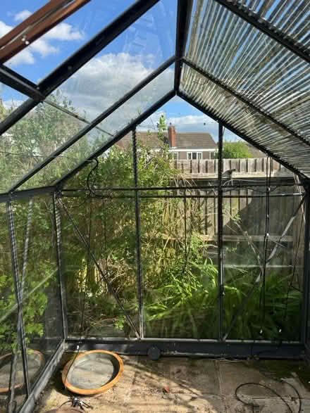 Photo of free 6 x 8 greenhouse (Hitchin (South)) #4