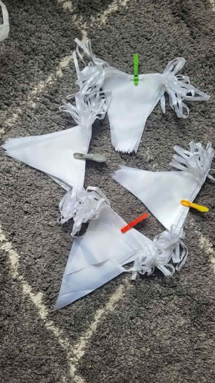 Photo of free White bunting (Barden Park, Tonbridge) #1