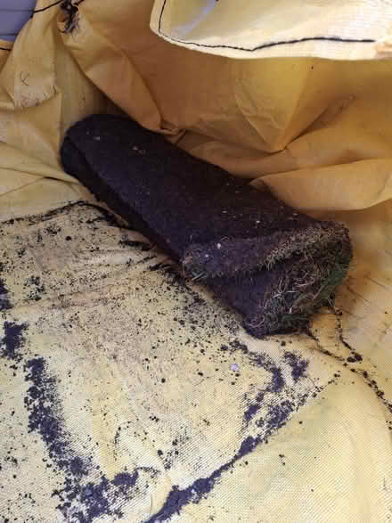 Photo of free 3 rolls of turf 1m long each (Stantonbury, MK14) #2
