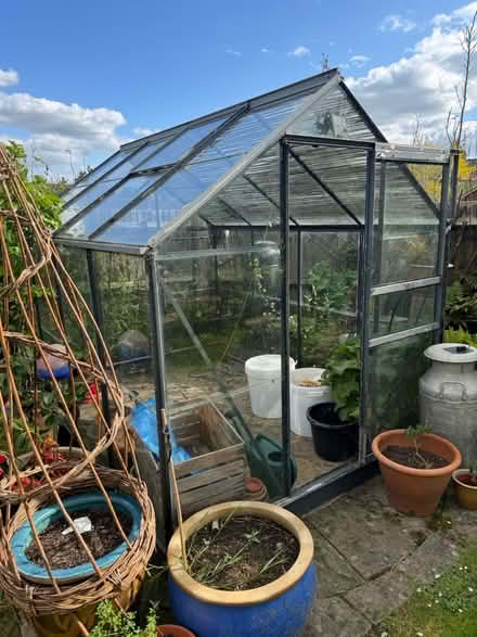 Photo of free 6 x 8 greenhouse (Hitchin (South)) #2