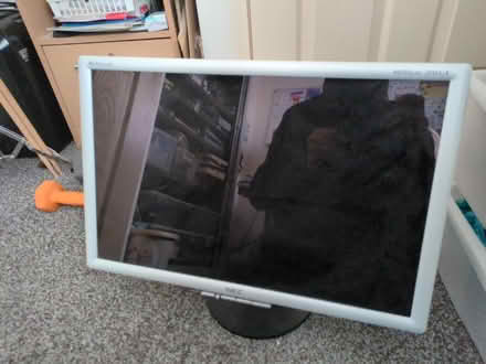 Photo of free Nec 20wgx2 monitor (colchester CO4) #1