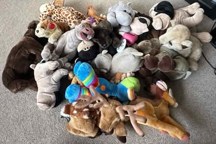 Photo of free Bag of animal soft toys (Sandiacre, Nottingham) #1