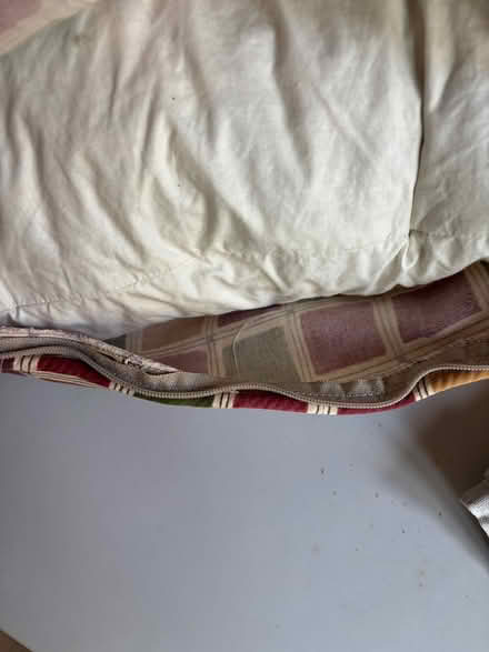 Photo of free Four Feather Cushion Pads / Covers (Michelmersh, Romsey) #3