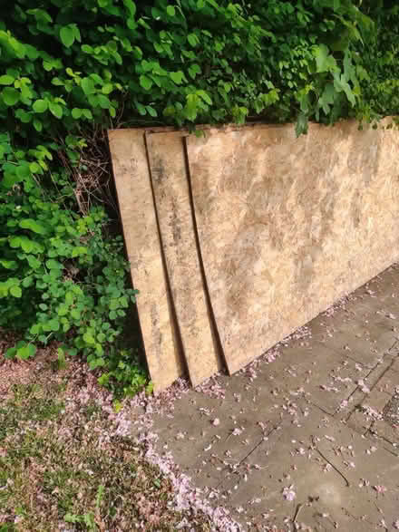 Photo of free 3x OSB wood sheet (Beeston NG9) #2