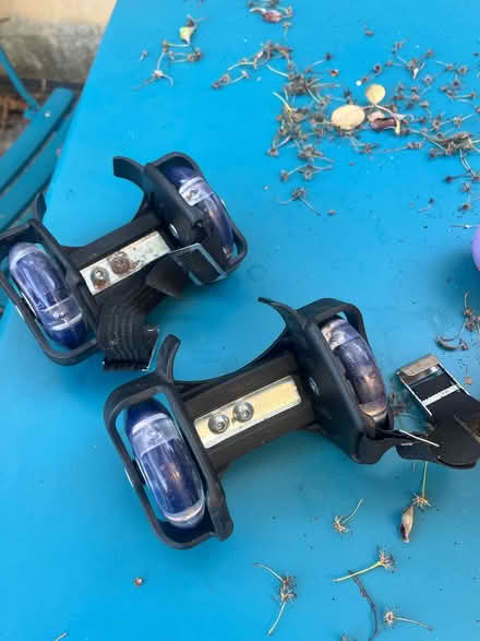 Photo of free Kids wheelie/skate shoes (Bear Flat) #1