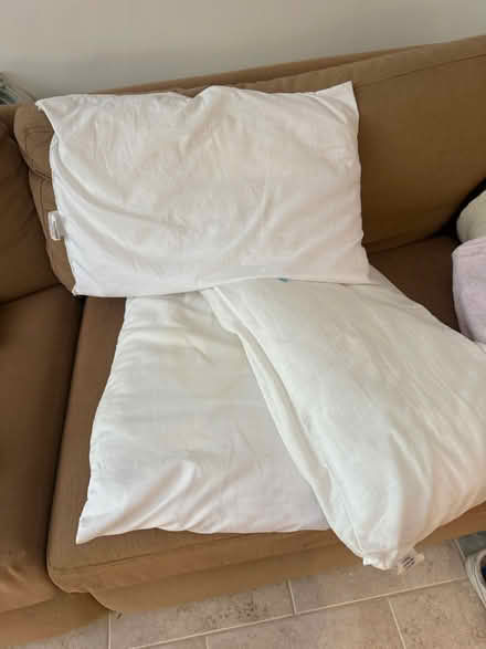 Photo of free Pillows (Ware SG12) #1