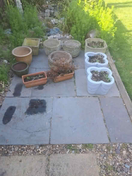 Photo of free Various plant pots (DE21 Spondon) #1