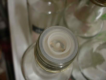 Photo of free Empty apple cider vinegar bottles (Sidcup DA14) #2