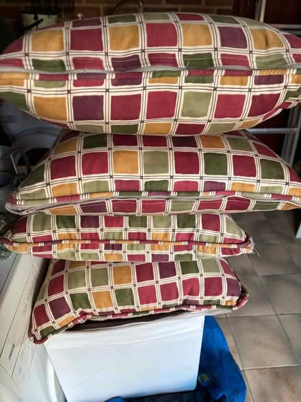 Photo of free Four Feather Cushion Pads / Covers (Michelmersh, Romsey) #2