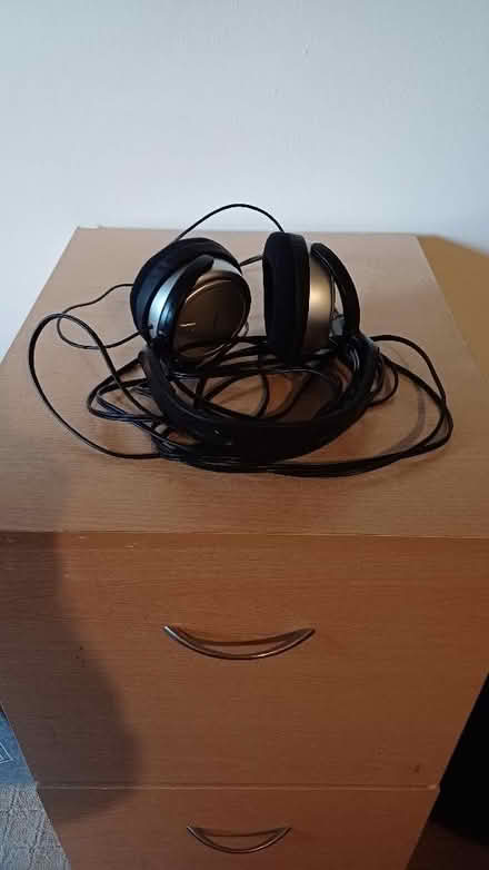 Photo of free Phillips Headphones (Palmer Park RG1) #2