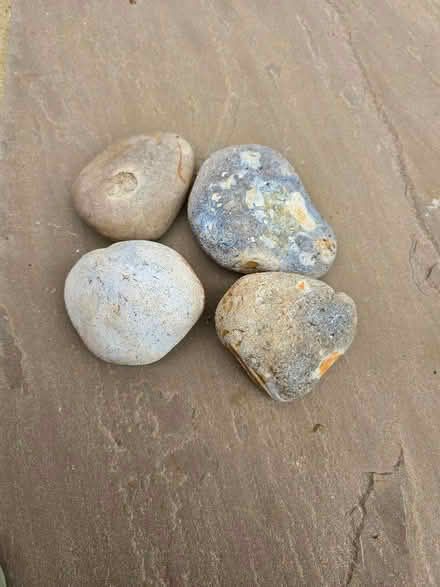 Photo of Cobble stones (Panshanger AL7) #1
