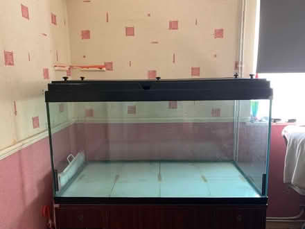 Photo of free Fish Tank Aquarium (Coombe Dingle BS9) #1