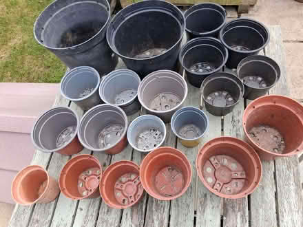Photo of free Plastic flower pots (Old Town Eastbourne) #1