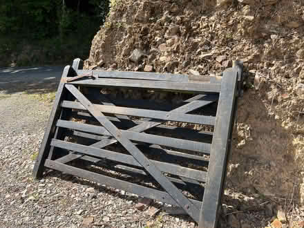 Photo of free Two 6' x 4' gates (Bush EX23) #1