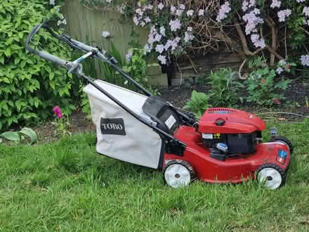 Photo of free Toro petrol mower with grass box (Botley OX2) #1