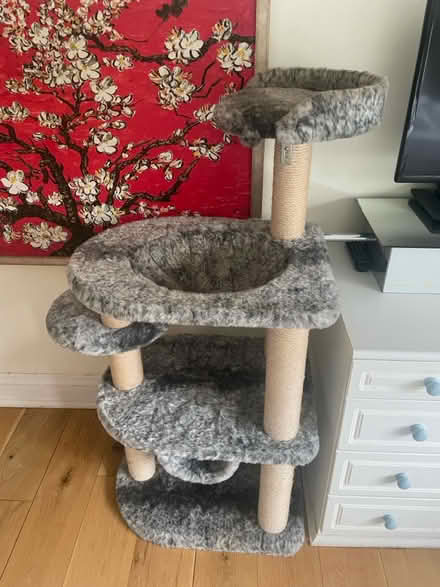 Photo of free Cat tower (Stanmore, HA7) #1