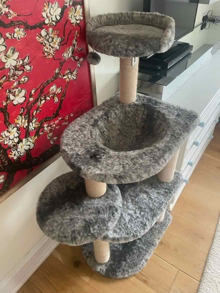Photo of free Cat tower (Stanmore, HA7) #2