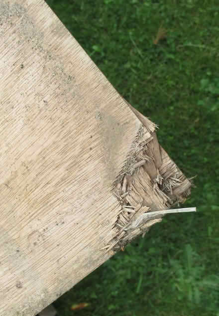 Photo of free Two 8 X 4 sheets of 12mm plywood. (IP4) #3