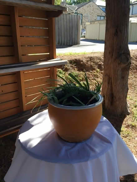 Photo of free Garden and Outdoor furniture (Lilydale Victoria 3140) #4