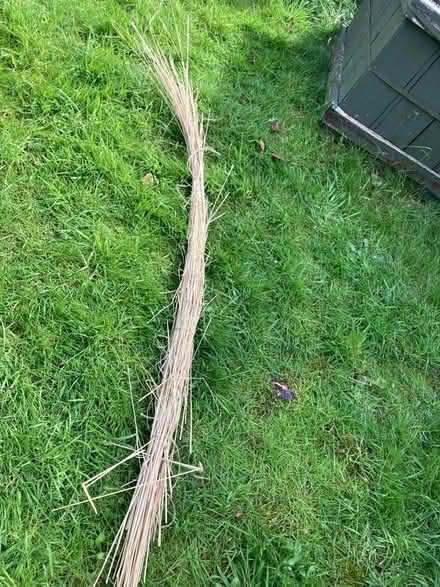 Photo of free Long dried grass - bug hotel craft etc (Leegomery TF1) #1