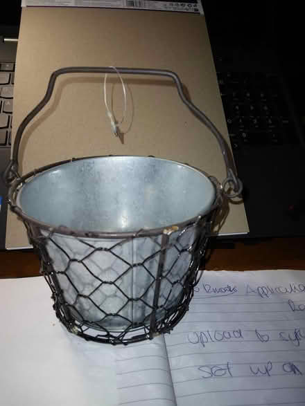 Photo of free planting (B25) #3