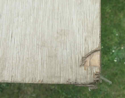 Photo of free Two 8 X 4 sheets of 12mm plywood. (IP4) #2