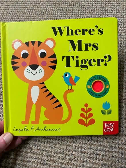 Photo of free Toys and Where’s Mrs Tiger book (Marshalswick AL4) #3