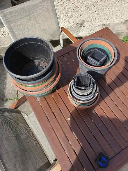 Photo of free Plant pots (North Seaton NE63) #2