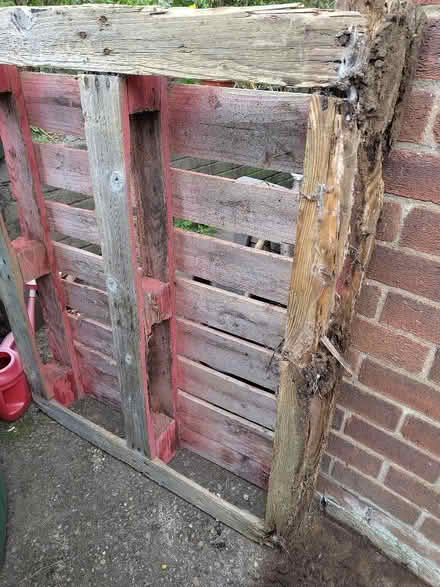 Photo of free Pallet (Lower Crumpsall M8) #2