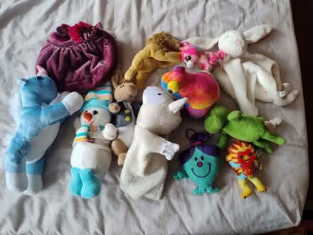 Photo of free Collection of Soft Toys (Kingston Bagpuize OX13) #3