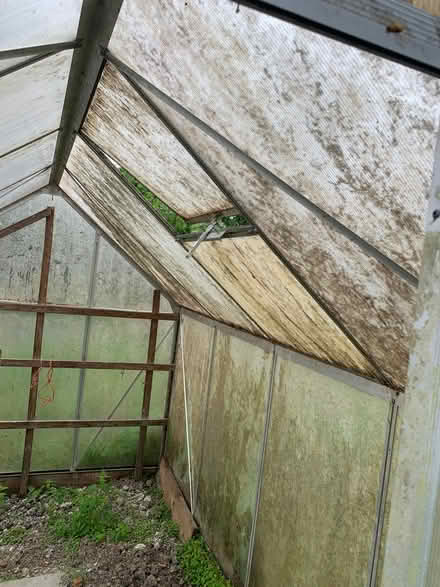 Photo of free 6ft x 8ft Polycarbonate Greenhouse (Pipe Aston SY8) #2