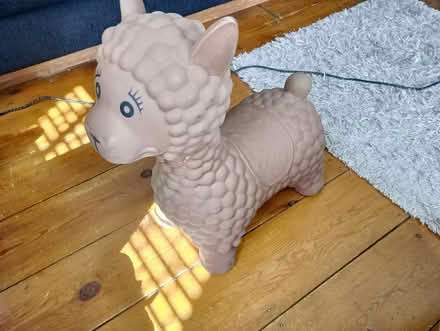 Photo of free Children's toys -walker& llama (HP13 Terriers near RGS) #4