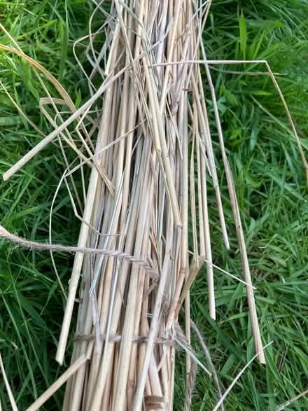 Photo of free Long dried grass - bug hotel craft etc (Leegomery TF1) #2