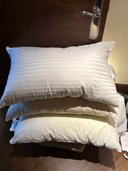 Photo of free Three pillows (Earls Court SW5) #1