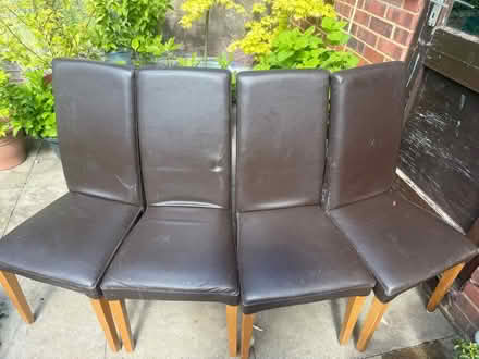 Photo of free Dining chairs (Cippenham SL1) #1