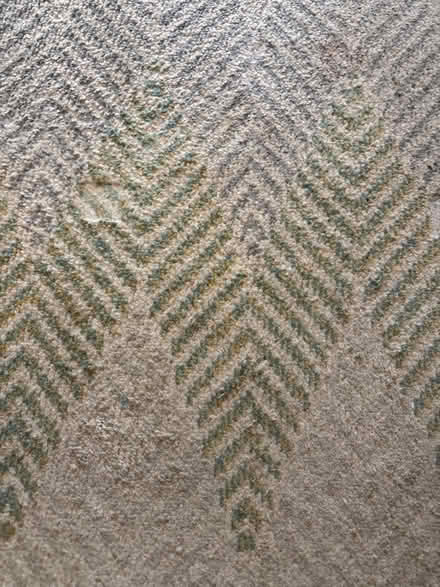 Photo of free 120 x 180 area rug (Limehouse E1) #2