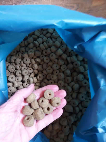 Photo of free Dry dog food (Edinburgh EH17) #1
