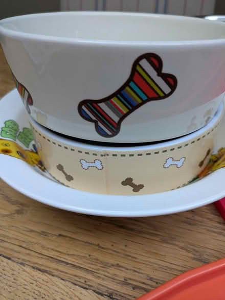 Photo of free Dog/cat items (Tetbury GL8) #2