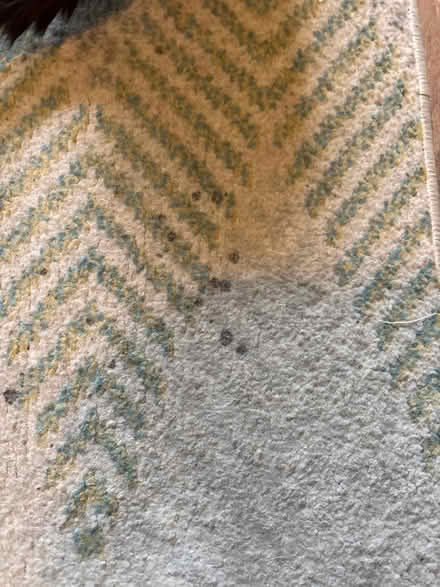 Photo of free 120 x 180 area rug (Limehouse E1) #3
