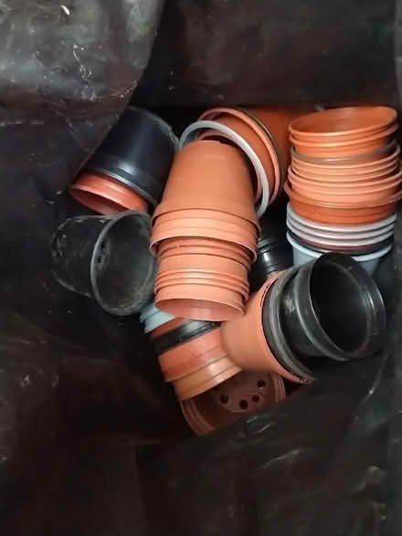 Photo of free Plastic plant pots (Endmoor LA8) #1