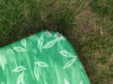 Photo of free Folding Sun Lounger (Crawcrook NE40) #3
