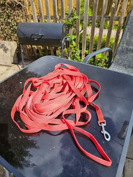 Photo of free 30m Dog Training Lead (Ettiley Heath CW11) #1