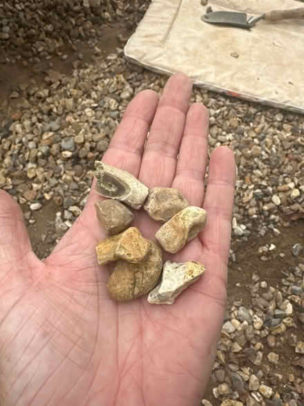 Photo of free Drive way pebbles several ton (Crawley RH10) #2