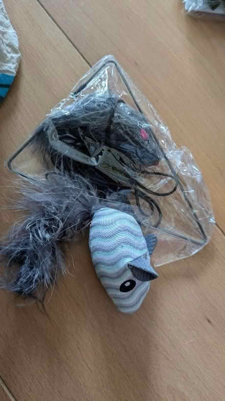 Photo of free Cat toys (Dyke Road area BN3) #1