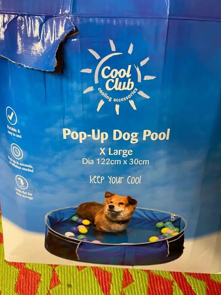 Photo of free Dog paddling pool (Ambrosden OX25) #1